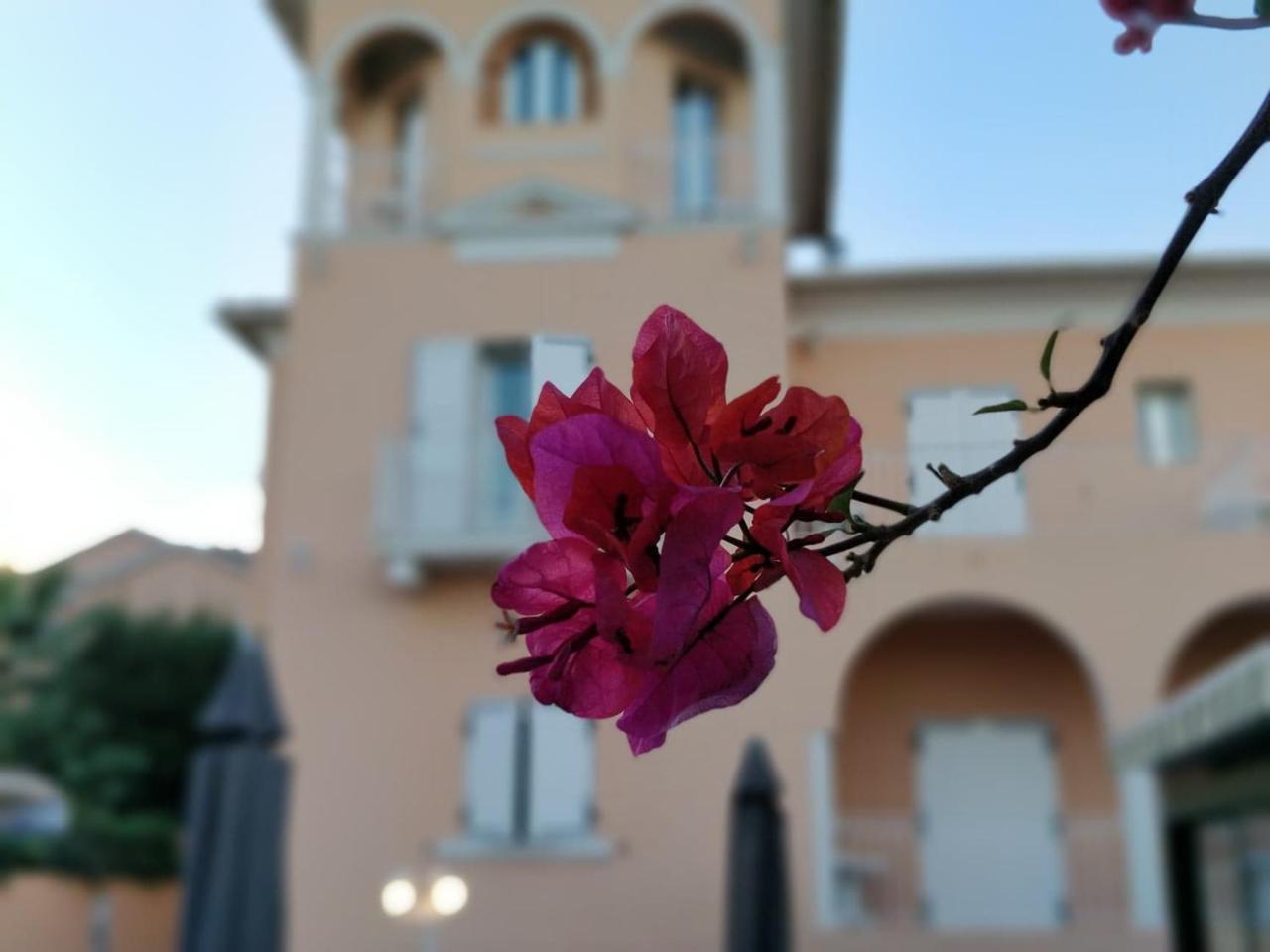 Hotel Et Appartements Reine D'Azur Roquebrune-Cap-Martin Eksteriør billede